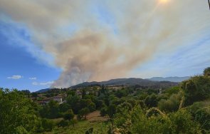 незагасена цигара запалила пожара хвойна борбата огъня продължава