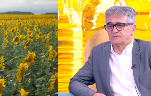 очаква поскъпване олиото пазара