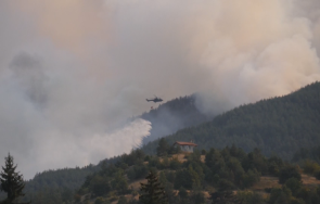 борбата огъня хвойна продължава