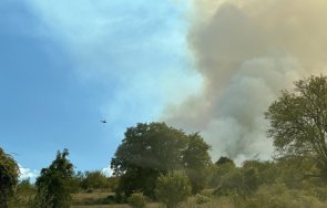 500 дка гори изгорели пожара хвойна гасенето продължава