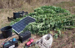 спецоперация разбиха организирана престъпна група стара загора