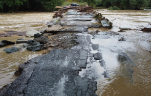 единственият път село фазаново пропаднал