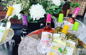 петъчно парти вкус вино френски шик събра инфлуенсърки