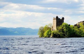 токсично водорасло отрови голямото езеро великобритания