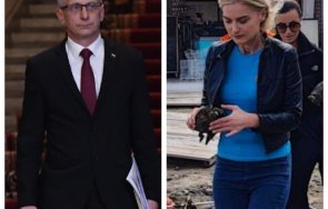 Николай Денков Зарица