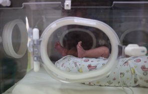 неонатологията умбал пловдив спасиха три екстремно недоносени бебета