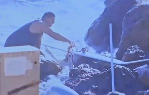 мрежата залива смях вижте обезвреждат дрона тюленово потник цигара уста уникално видео