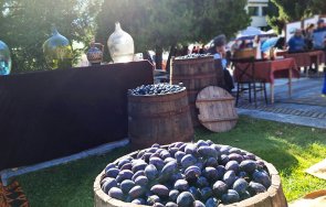 празник сливата започва троян