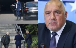 ексклузивно пик вижте хекимян килимчето бойко снимки