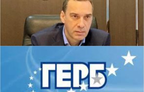 първо проучване герб мачка бургас димитър николов отвява всички първи тур графика