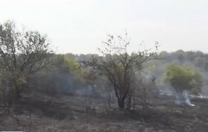 шест екипа огнеборци гасят голям пожар парк кенана