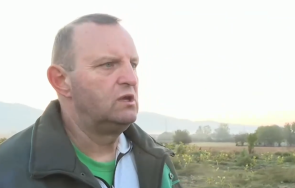 обраха слънчогледовата нива бивш зам министър земеделието