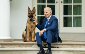кучето байдън изселено белия дом