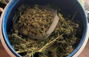 спецакция иззеха около марихуана 100 000