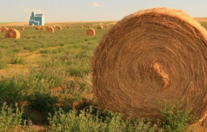 мъж запали около 300 бали сряза гумите товарен автомобил врачанските лозя