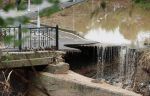 агенцията горите настоява учени променят позицията бедствието царево