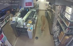 елен нахлу претъпкан ресторант уисконсин