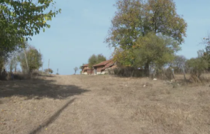 изрод пастрокът пребил годишно дете вдигал хвърлял градината