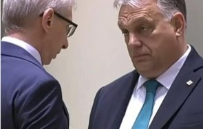 снимка денков орбан взриви мрежата опосумът гъне таксите орбан сдържа ошамари