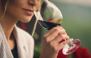 жена седна волана близо три промила алкохол кръвта кюстендил