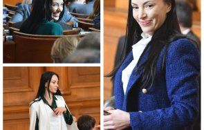 мистерия герб депутатите борисов шмекеруват оставката точева решението лично видео