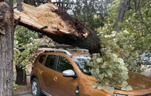 извънредна новина варна кметът обяви опасите места