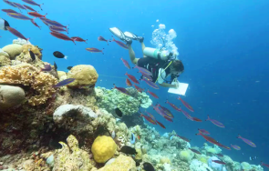 бълбукащи рифове регистрирани пръв път черно море района зеленка плажа ропотамо аладжа банка