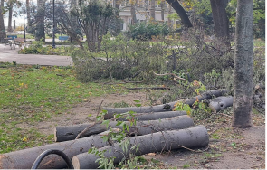 събраната бедствието дървесина варна раздава хора нужда