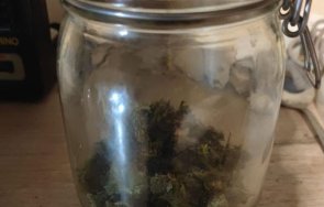 гдбоп разби оранжерия марихуана спипа работници плантацията снимки