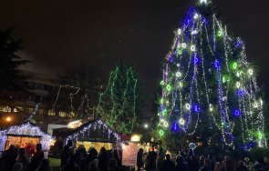 запалването коледните светлини шумен отлага