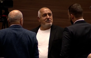 бойко борисов петков решихме смисъл два закона бият парламента