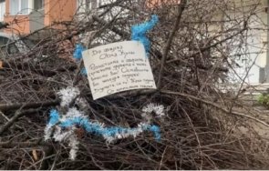 послание жители овча купел сами събраха паднали клони украсиха гирлянди общината