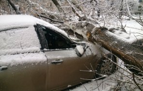 инцидент банско дърво падна кола пътя ски зоната пострадал