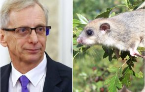 мрежата гърми скандалното изказване денков оставка пускайте тоя съсел рано сутрин действа разхлабително снимки