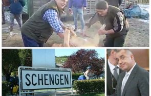 георги марков новините чуете нова бтв откликне бойко борисов поканата орбан отиде гости прасе коледа