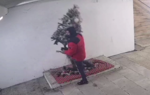 откраднаха елха прелез перник видео