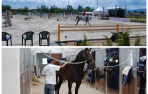 право отговор община божурище подробности състоянието конната база направените инвестиции документ