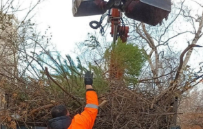 почистващи фирми софия глоби 256 първите дни 2024