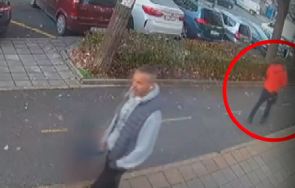 жестокост мъж уби ритници бездомна котка бургас