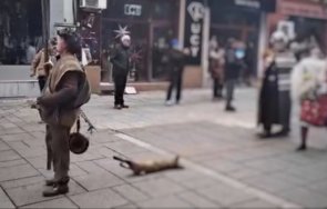 жестокост сурвакар влачи умряла лисица площада разлог