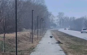 бърза реакция пипнаха вандал изпотрошил улични лампи пловдивско село