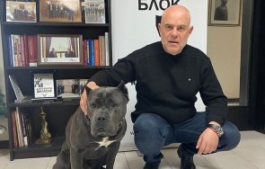 гешев закани вкараме затвора политиците сглобката големите престъпници 1989 борисов петков пеевски босове групировки тагарев видео