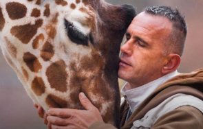 трагедия зоопарка скопие жирафът човекът грижеше починаха един ден