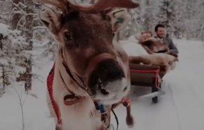 бум сватбите предложенията брак лапландия