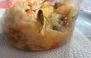 затвориха детска кухня монтана заради случая хлебарка храната