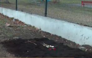 гроб домашен любимец шокира ученици детска градина