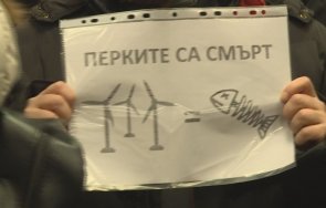 контра хотелиери рибари против вятърните централи черно море