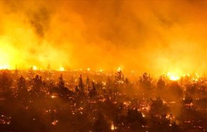 бедствие жертви взеха горските пожари чили застрашени градски райони