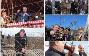 поредна излагация сглобката първи път земеделски министър загърбва лозаро винарския сектор отиде зарязва лоза манастирски чардаксигурно моли ротацията