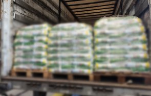 тона марков перилен препарат спипан капитан андреево